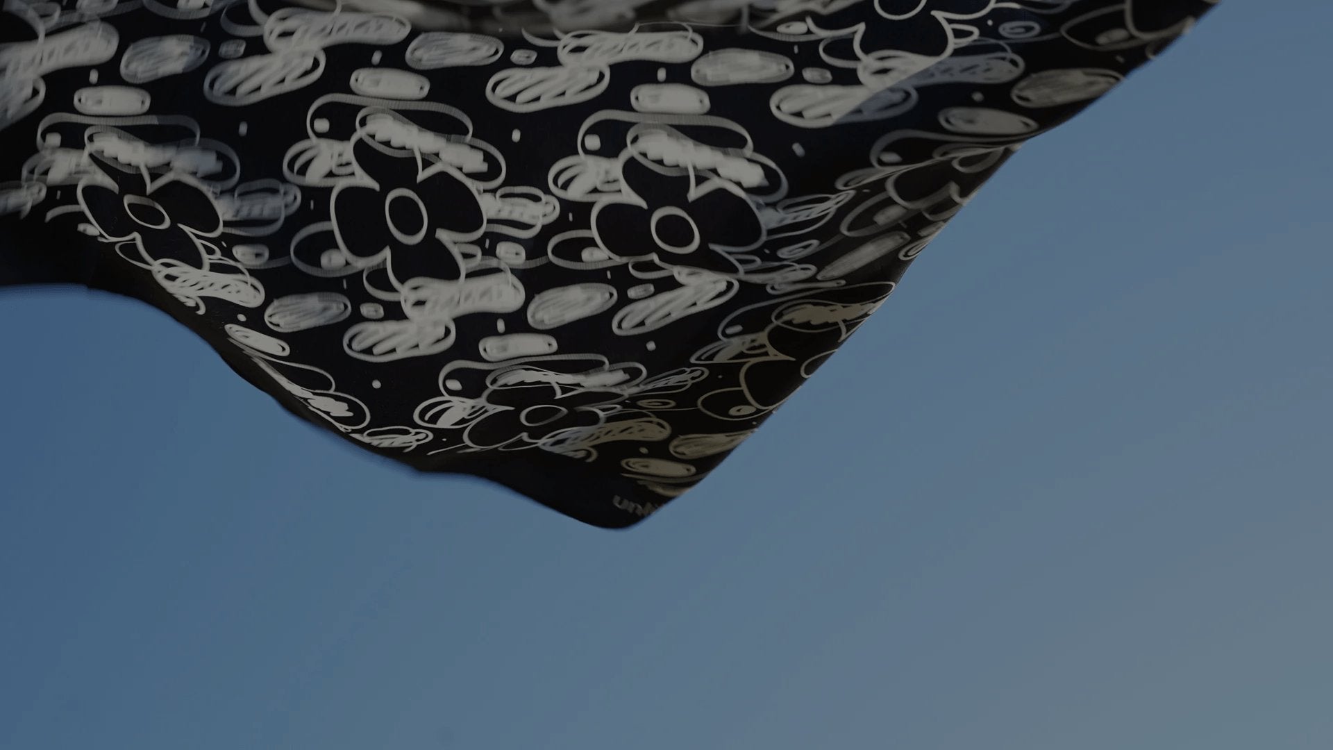 Here today. Gone tomorrow.